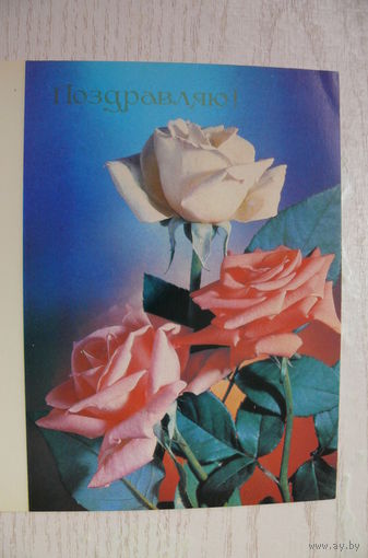 Губин П., Поздравляю! 1990, 1991, двойная, чистая.