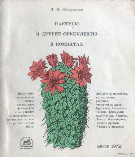 КАКТУСЫ, 1972 г.