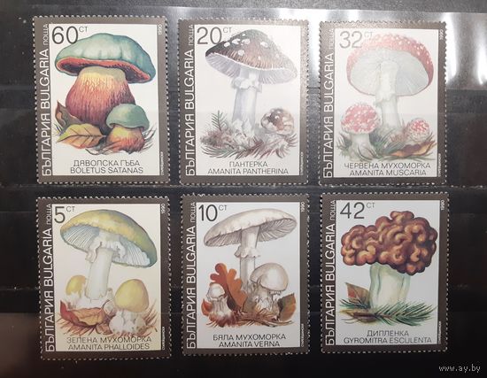 Болгария. 1990 год. Флора. Грибы (972)