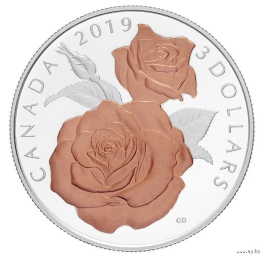 Канада 3 доллара 2019г. "Цветущая роза". Rose Gold. Монета в капсуле; подарочной футляре; номерной сертификат; коробка. СЕРЕБРО 7,96гр.(1/4 oz).