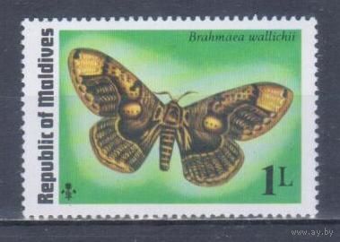[324] Мальдивы 1975. Фауна.Бабочка.1л. MNH