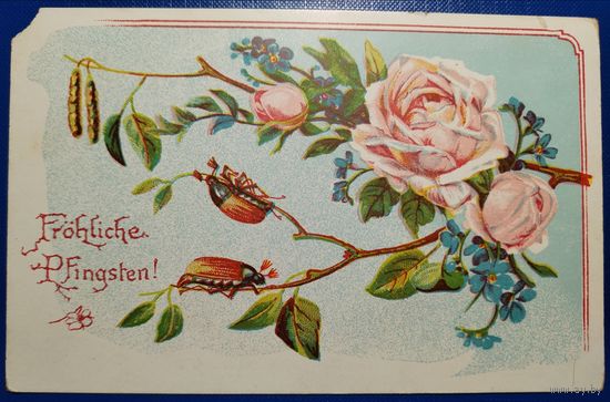 Открытка старинная. Пятидесятница.