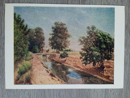 1955. Королев. Пейзаж "Арык"