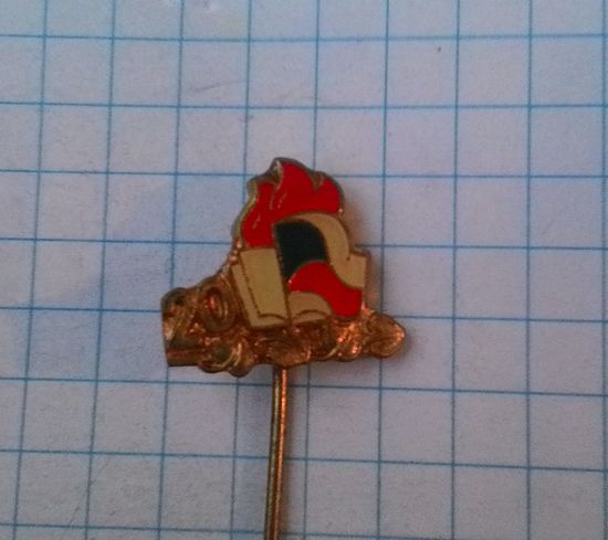 Пионерская организация Социалистического союза молодёжи ЧССР. 20 лет. 1969 год. Нечастый знак.