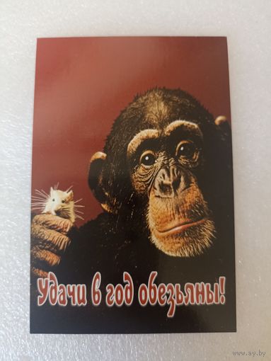 Животные, Обезьяны, 2004 год. Карманные календарики, Календарик, Календарь