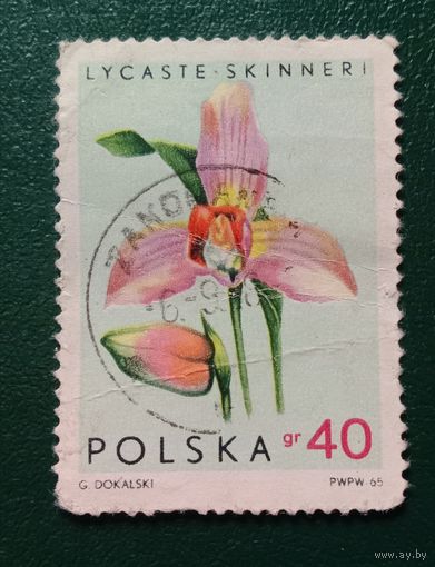 Польша. 1965