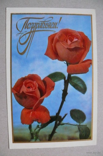 Папикьян Р.(фото), Поздравляем! 1976, подписана.