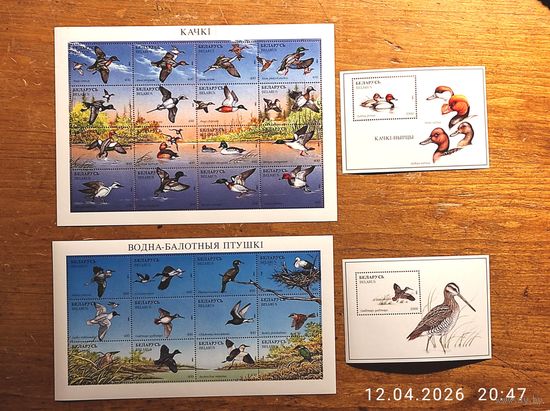 Марки РБ. Утки + болотные птицы 2 м/л+2 блока 1996г с 1 рубля без мин.
