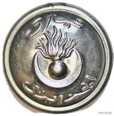 Алжир. Мундирная пуговица. 25 мм