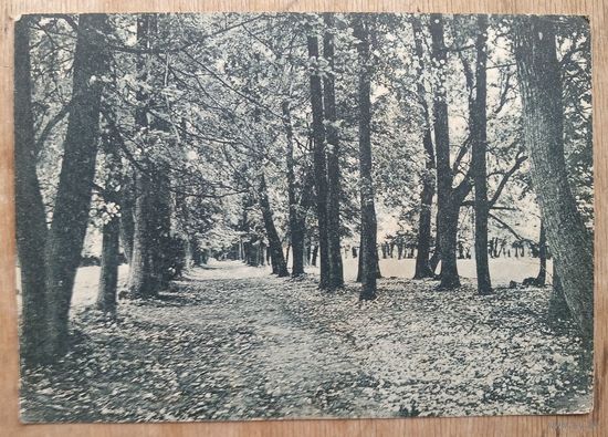 Калуга. Дом отдыха. Парк. Благотворительная. Красный крест. 1920-30 гг. Чистая