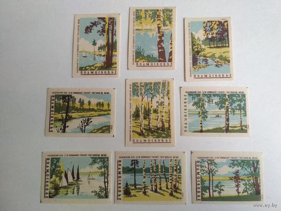 Спичечные этикетки ф.Гигант. Подмосковье. 1960 год