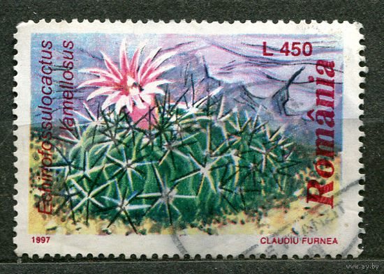 Кактусы. Румыния. 1997