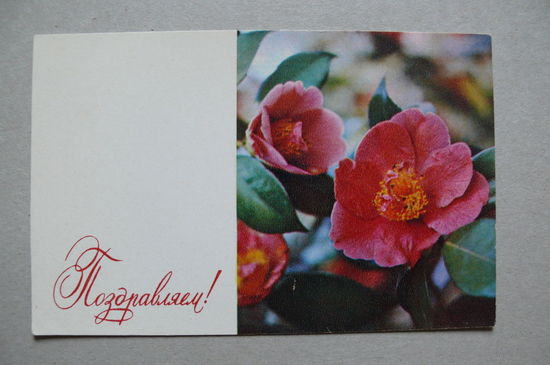 Поздравляем! 1972, подписана.