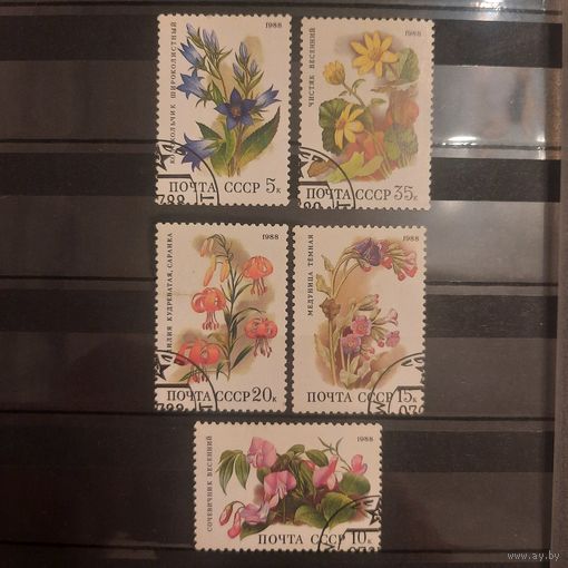 СССР 1988. Флора. Цветы. Полная серия