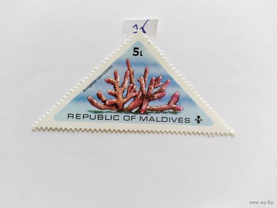 Мальдивы  1975
