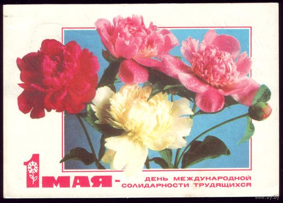 1974 год Г.Костенко 1 мая