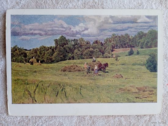 1951. Светличная. Сено