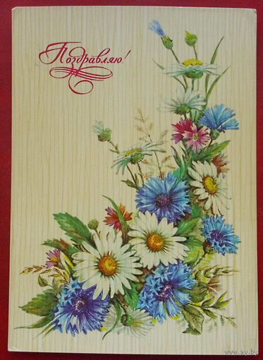 Поздравляю! Подписанная. 1984 года. Бодрихина. 944.