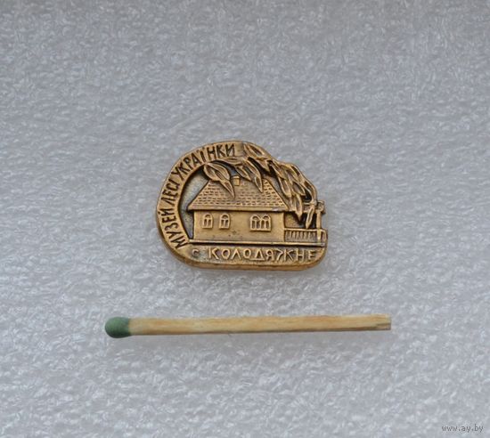 Музей Леси Украинки. с. Колодяжне.