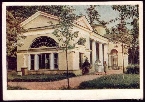 1955 год Павловск Парк