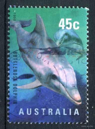 Австралия - 1998г. - морская фауна - 1 марка - гашёная. #3-WB-91-A-1
