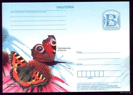 2011 год Павлиний глаз