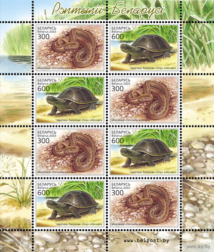 2003 БЕЛАРУСЬ  малый лист коллекционных марок Фауна. Рептилии  MNH