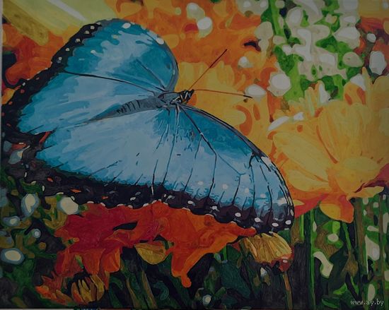 Полет бабочки