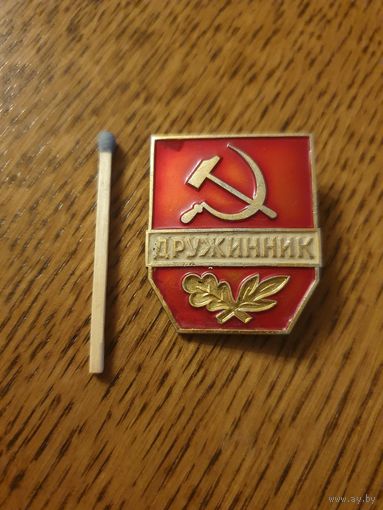 Значок "Дружиник"