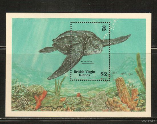 Виргинские острова-1988(Мих.Бл.53) , **  , Морская  Фауна, Черепахи