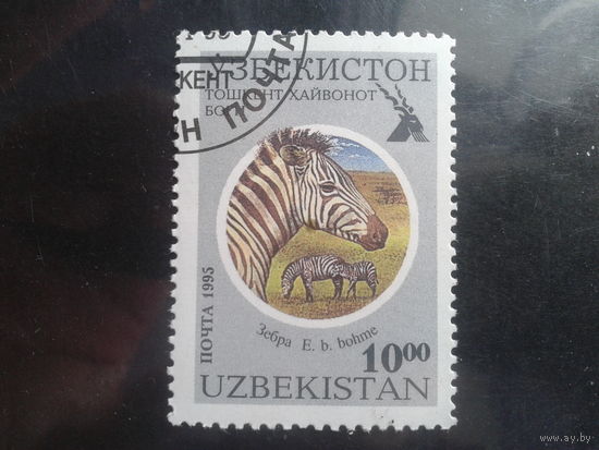 Узбекистан 1995 Зоопарк, зебра Михель-2,0 евро гаш