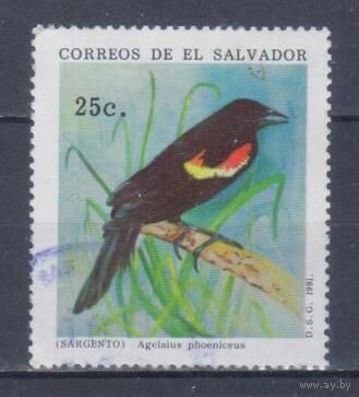 [1862] Сальвадор 1991. Фауна.Птицы.Скворец. Гашеная марка.