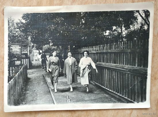 Фото 3-х девушек. 1961 г. 13х18 см.
