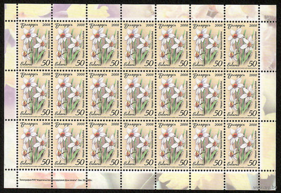 Беларусь. 2008. Стандарт.  Нарцисс (50р) (з.26-2009) Лист