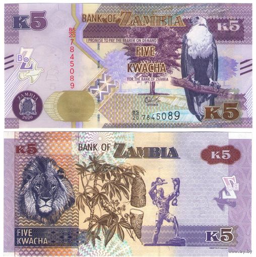 Замбия 5 квача 2020 год UNC