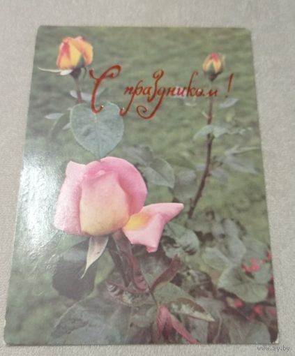 С праздником. Подписана, маркированная