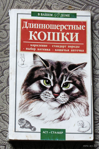 Длинношерстные кошки. Кормление. Стандарт породы. Выбор котёнка. Кошачья аптечка.