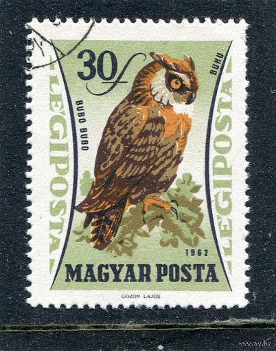 Венгрия. Совы