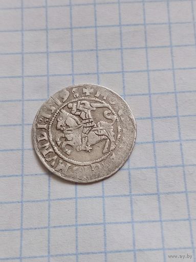 Полугрош 1519 года