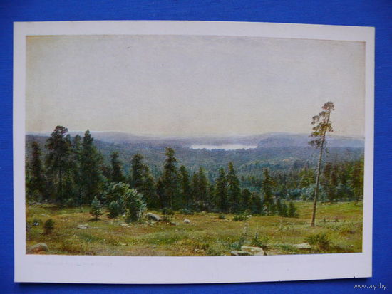 Шишкин И. И., Лесные дали, 1976.