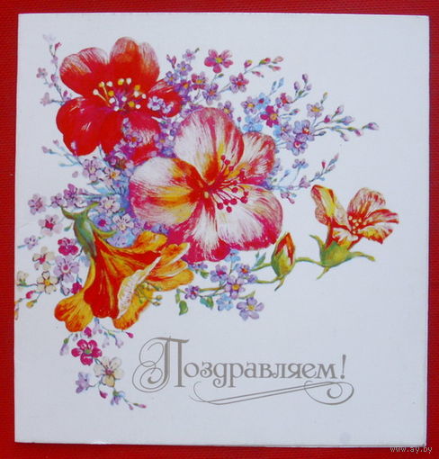 Поздравляем! Чистая. Двойная. 1988 года. Видяпина. 165.