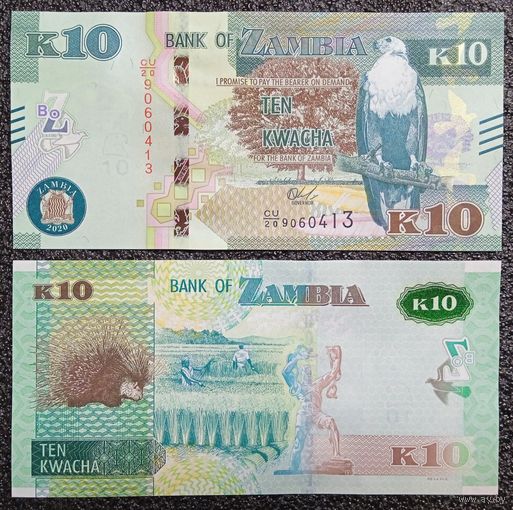 10 квача Замбия 2020 г. UNC