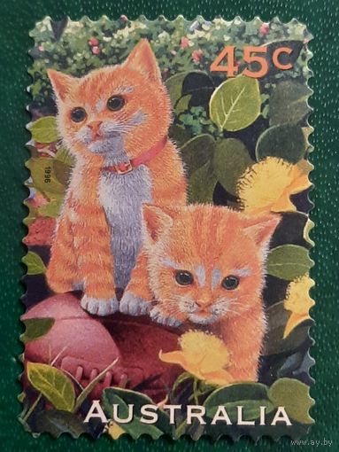 Австралия 1996. Породы кошек