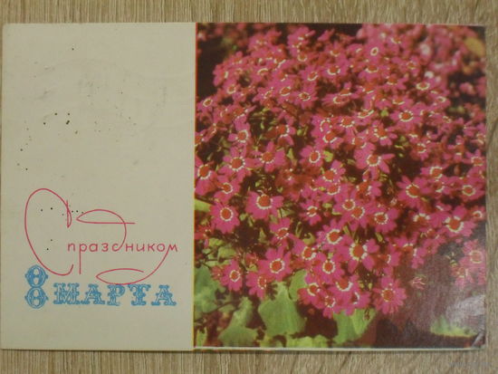 ПОДПИСАННАЯ ОТКРЫТКА СССР. ПРОШЕДШАЯ ПОЧТУ. "С ПРАЗДНИКОМ 8 МАРТА". ФОТО. В. ХОМЕНКО. 1967 год.