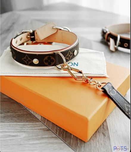 Ошейник LV Louis Vuitton с поводком (реплика)