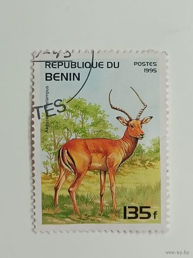 Бенин 1995. Млекопитающие
