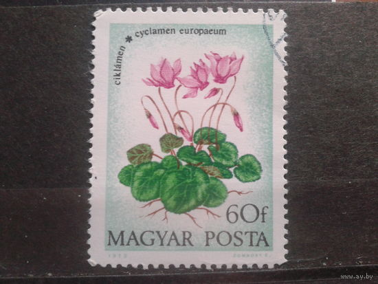 Венгрия 1973 цветы