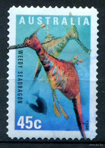 Австралия - 1998г. - морской конёк - 1 марка - гашёная. #3-WB-91-A-2
