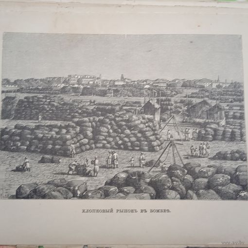 Хлопковый рынокъ въ Бомбее. гравюра конец 19в.-20в.