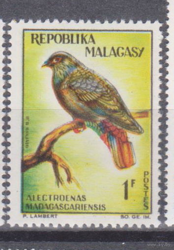 Птицы фауна Мадагаскар 1963 год  лот 17 ЧИСТАЯ